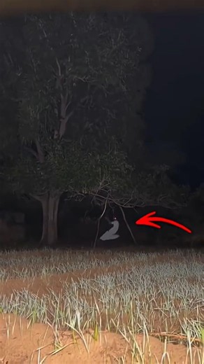Real Ghost Caught On Camera...😱#ghost #cctv #horror #akmysteryfact #viral