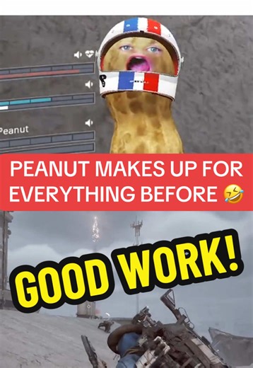 Peanut's Hilarious Comeback Moment