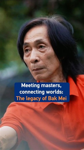 Meeting masters, connecting worlds: The legacy of Bak Mei #kungfu #martialarts #kungfuwise