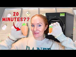 Can You REALLY Freeze Dry Food in 20 Minutes? (I Tested It)