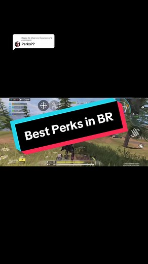 Best Perks and Tips for Battle Royale in Call of Duty: Mobile