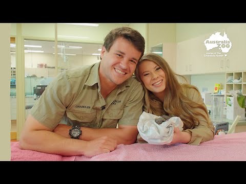 Bindi and Chandler check on a miracle patient | Irwin Family Adventures