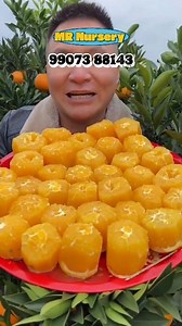 236K views · 2.7K reactions | Must-Have Exotic Fruit Plants for Your...