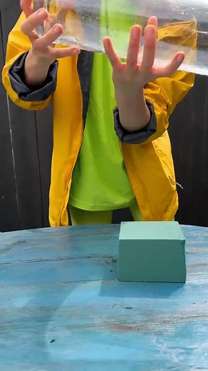 1.4M views · 5.6K reactions | #diy #shorts #sponge | LadySponge | Facebook