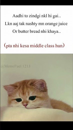middle class 🫩#memes #funny #relatable #meme #dankmemes #funnymemes #lol #laugh #relatablecontent