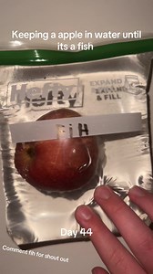 Day 44 #sciencefun #viralchallenge #pleasedontflop #appleexperiment #appleinwater