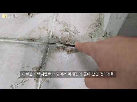 타일 줄눈이 깨졌다면? 백시멘트 보수하는 초간단 DIY 방법 🎯