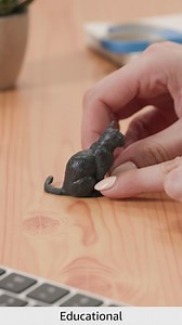 Watch Product Overview Video on Amazon Live