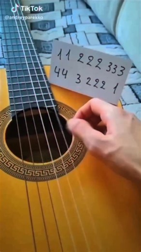 Jimmy Nikolov on Instagram: "Instagram musicians be like (don’t try this at home) #ukulele #meme #dogplaying #viral #trend"