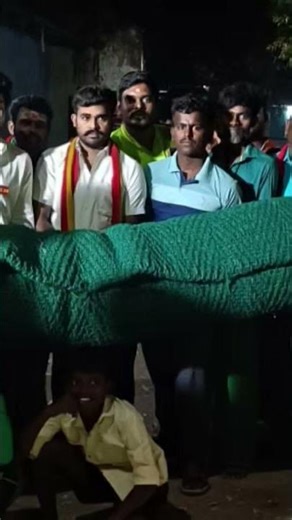 TVK vibin TPV gifts cricket mat to youngsters #cricket #tpvnews #tvkvijay #vijay #kskkmadrasah