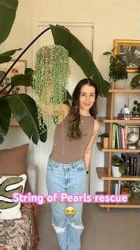 SOS String of Pearls Fail | She Grew SO Well for Three Years - Now my SOP is BALD!