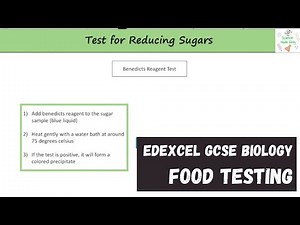 Edexcel GCSE Biology - Food Testing