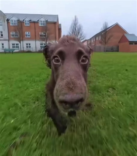 Damianleighclarke (@damianleighclarke)’s videos with original sound - Damianleighclarke