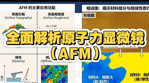 太牛了，全面解析原子力显微镜（AFM）
