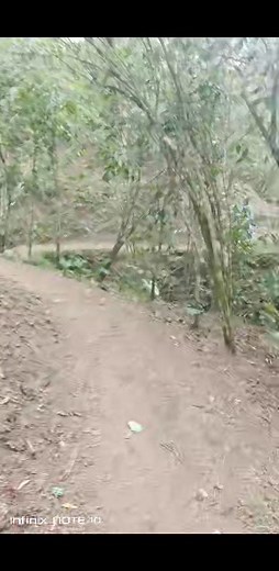 141K views · 1.9K reactions | so atsabe oan bele komprende dalan ne� | Amali Eideen | Facebook