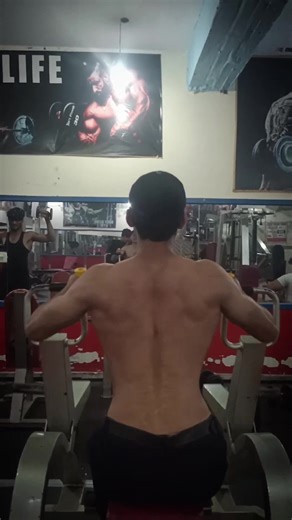 Best Back Workout for Effective Muscle Gain