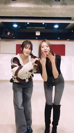 KARA's Gyuri & Lim Nayoung Dance Challenge Compilation