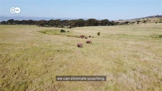 STANDING FOR NATURE Meet the man dedicating his life to keep wild animals safe. | East Africa Daily
