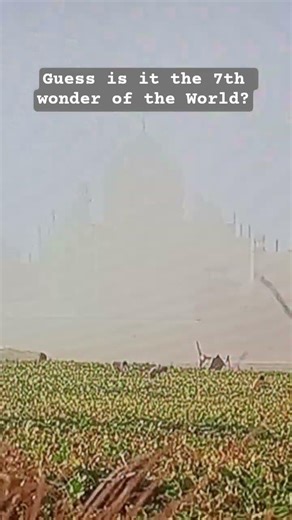 One of 7 wonder of the World in Sunset| #tajmahal