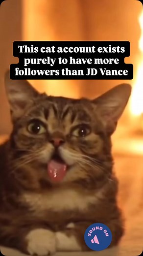 34K views · 10K reactions | UPDATE ⬇️ @catsonacouch - 686K  ✅ @ senatorvance - 287K ✅ ⏭️ Next up: @ jdvance - 1.6M ⏭️ After that: @ vp - 14.9M   Finally: cat world domination  The whole point of this account is to have more friends than JD Vance, and to make sure he doesn't know a moments peace for the next four years.  Cutie Kitty Cred: @iamlilbub | Cats on a Couch | Facebook