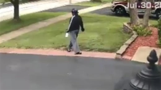 'Could be in need of help': New search set for missing Naperville mom who disappeared while on walk