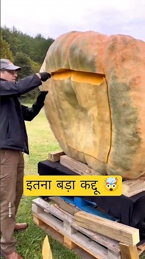 Unbelievable Giant Veggies in China!