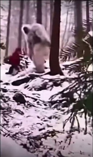 Yeti falling down hill 🤣 #shorts