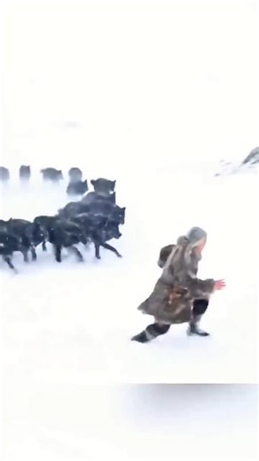 naturefurver on Instagram: "Япония внедряет революционную технологию, преобразующую каждый шаг человека в электричество: пьезоэлектрические плитки. Эти плитки поглощают энергию давления и вибрации, создаваемую каждым шагом пешехода, и преобразуют эту механическую силу в электрическую энергию. Пьезоэлектрические элементы, встроенные в плитки, слегка деформируются, генерируя слабый электрический ток. Каждый шаг генерирует небольшое количество энергии, но миллионы шагов в совокупности генерируют до