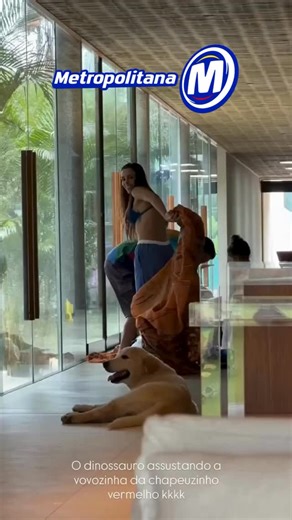 Rádio Metropolitana FM Foz do Iguaçu on Instagram: "🦖 Bruna Biancardi divertiu a criançada no último domingo (04) ao surgir usando uma fantasia inflável de dinossauro. Em um vídeo publicado nas redes sociais, a influenciadora mostra o momento em que vai atrás da filha, Mavie, que logo corre para o colo do pai, Neymar."