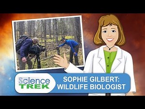 Sophie Gilbert: Wildlife Biologist | Science Trek