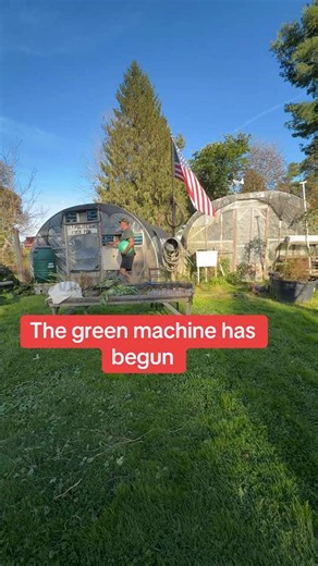 My favorite time of the year, the weather and also growing greens all different types of greens#upstateNewYorkgardening #fallgarden #coolweathercrops #gardenlife #growinggreens