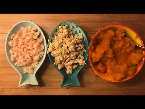 Recette maison pour votre chat