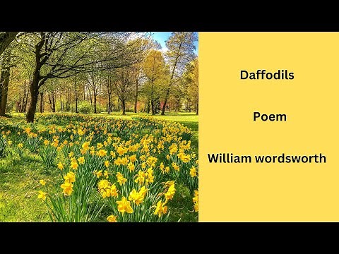 Daffodils | William wordsworth | Poem read by Jitha