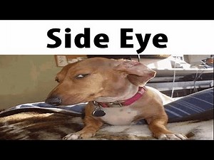 Side Eye