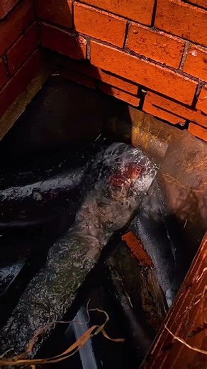 Whats blocking the drain? #draincleaning #drainjetting #drainunblocking #keepitflowing #drainage