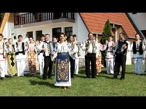 Mihaela Petrovici - Mai bage Ilie (muzica populara de petrecere)