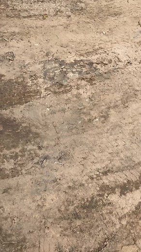 Work in progress 72 s10 with 454 big block #mudtruck #huckleberry