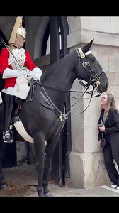 Love at first sight at Horse Guards ❤️ #love #viralreels #london #fblifestyle | This is London channel