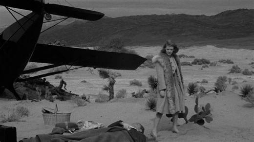 The.Bride.Came.C.O.D..1941.1080p.BluRay.x264.AAC-[YTS.BZ]