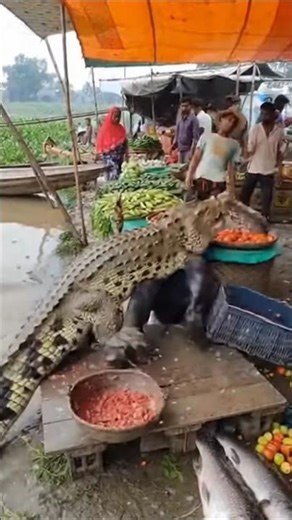 Amen jesus Christ 🙏 | season 4 #jesus #jesuschrist #amen #god #church #prayer #shorts