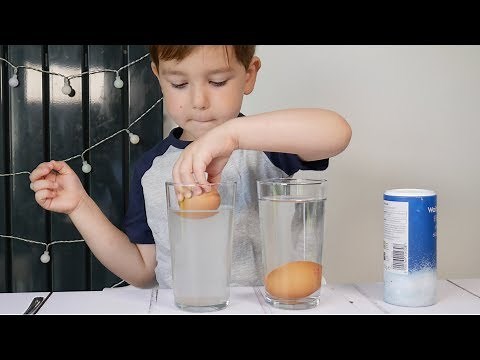 Salt Water Egg Experiment