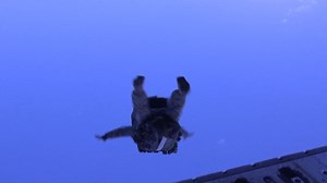 Marine Corps Motivation! | Soldier of Fortune Magazine