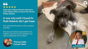 ⭐️⭐️⭐️⭐️⭐️ It was only until I found Dr. Ruth Roberts did I get hope. She connected the dots in all our reports and files and helped us discover that Skyla had a kidney infection that led to acute kidney failure on top of her chronic kidney disease. I write this not because I get any kickback or referral bonus. I write this as a frustrated, tired, sad, and hopeful pet parent who hopes that her dog still has a chance. It’s so frustrating how hard it was to find a vet who is highly intelligent, up