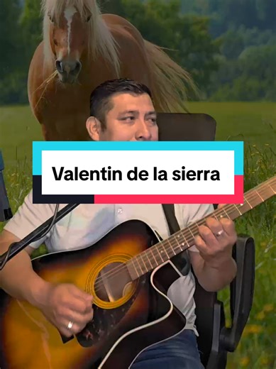 Valentin de la sierra Cover, Complaciendo a Apolinar Valencia322 #fiesta #baile #fyp #musica #guitarra