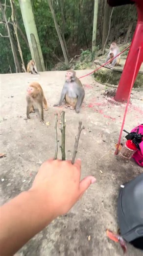 kaka123 (@kaka123902)’s videos with original sound - kaka123