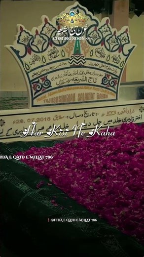 8 Th URS E TAJUSHSHARIYA Coming soon 👑 #islamicstatus #viral #trendingshorts 💐 @Sabirrazaazhari