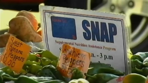 1.9 million in Illinois risk losing SNAP benefits on Nov. 1 if government remains shut down