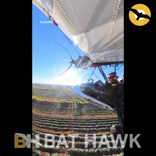 1.9K views · 31 reactions | Experience the bushveld like never...