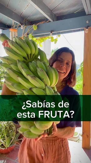 24K views · 376 reactions | Los “blue java” o guineos (bananas) de...