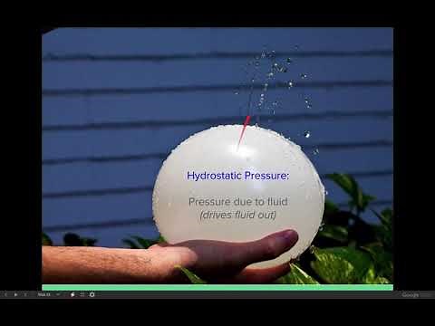 50. Introduction to oncotic pressure and hydrostatic pressure